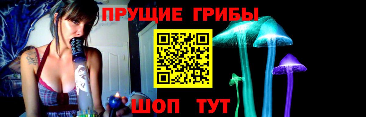 купить наркоту  Вход с VPN  Саров  Галлюциногенные грибы Magic Shrooms 