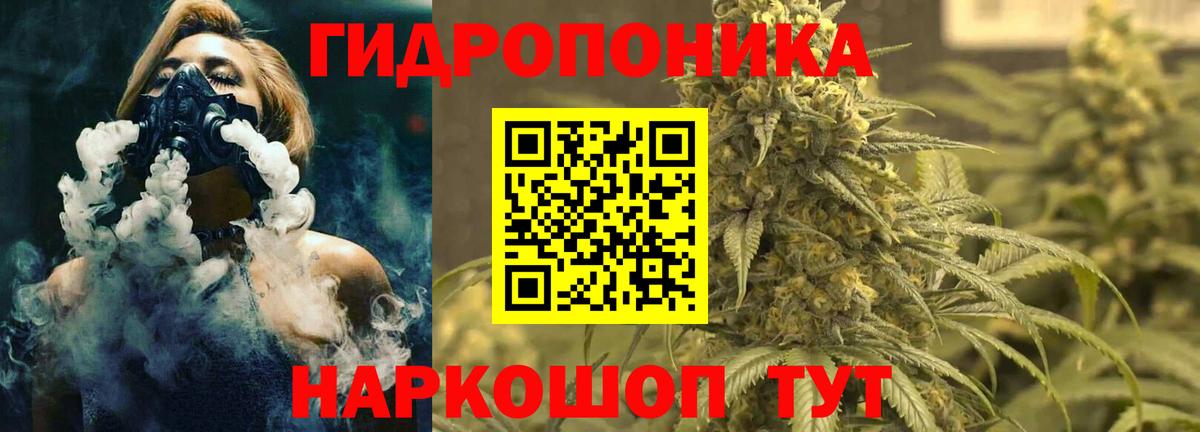 Бошки Шишки сатива  Бошки Шишки SATIVA & INDICA  Бошки Шишки White Widow  Вход с VPN  Саров  Каннабис сатива 